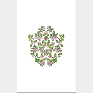 Pink Apple Blossoms Posters and Art